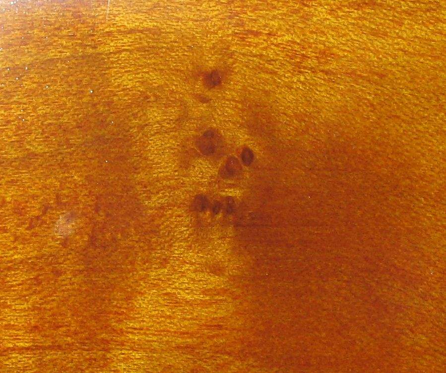 JProject skull close.jpg