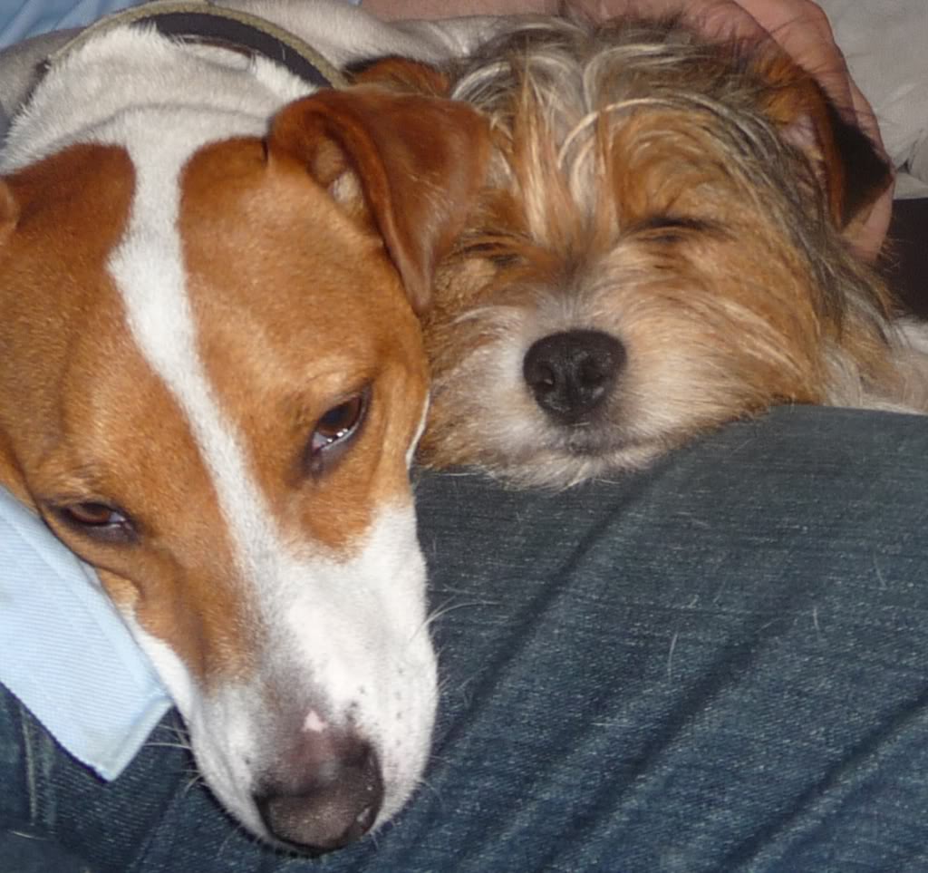 JRT.jpg