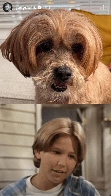 JTT dog.jpg