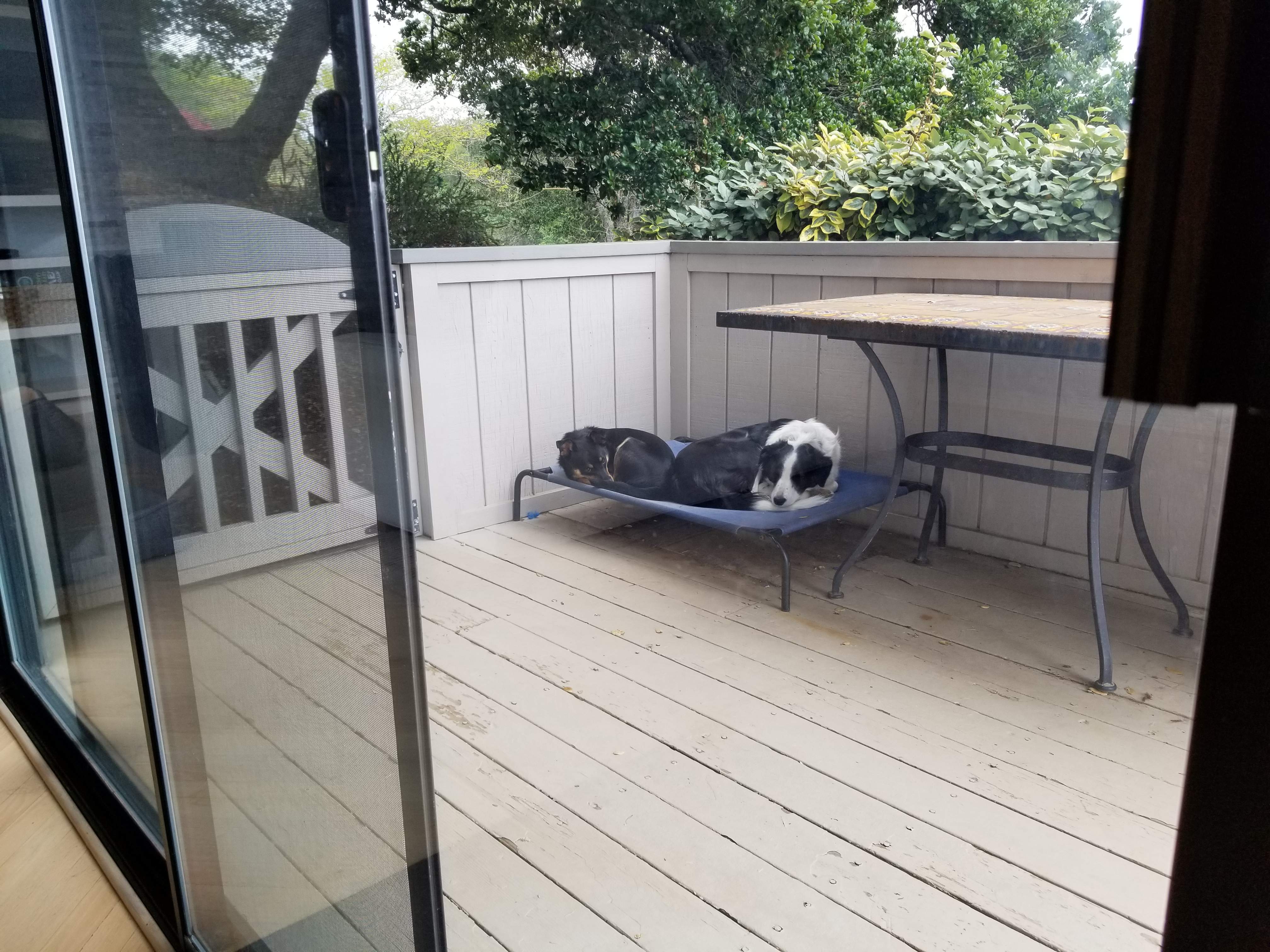 just hangin.jpg