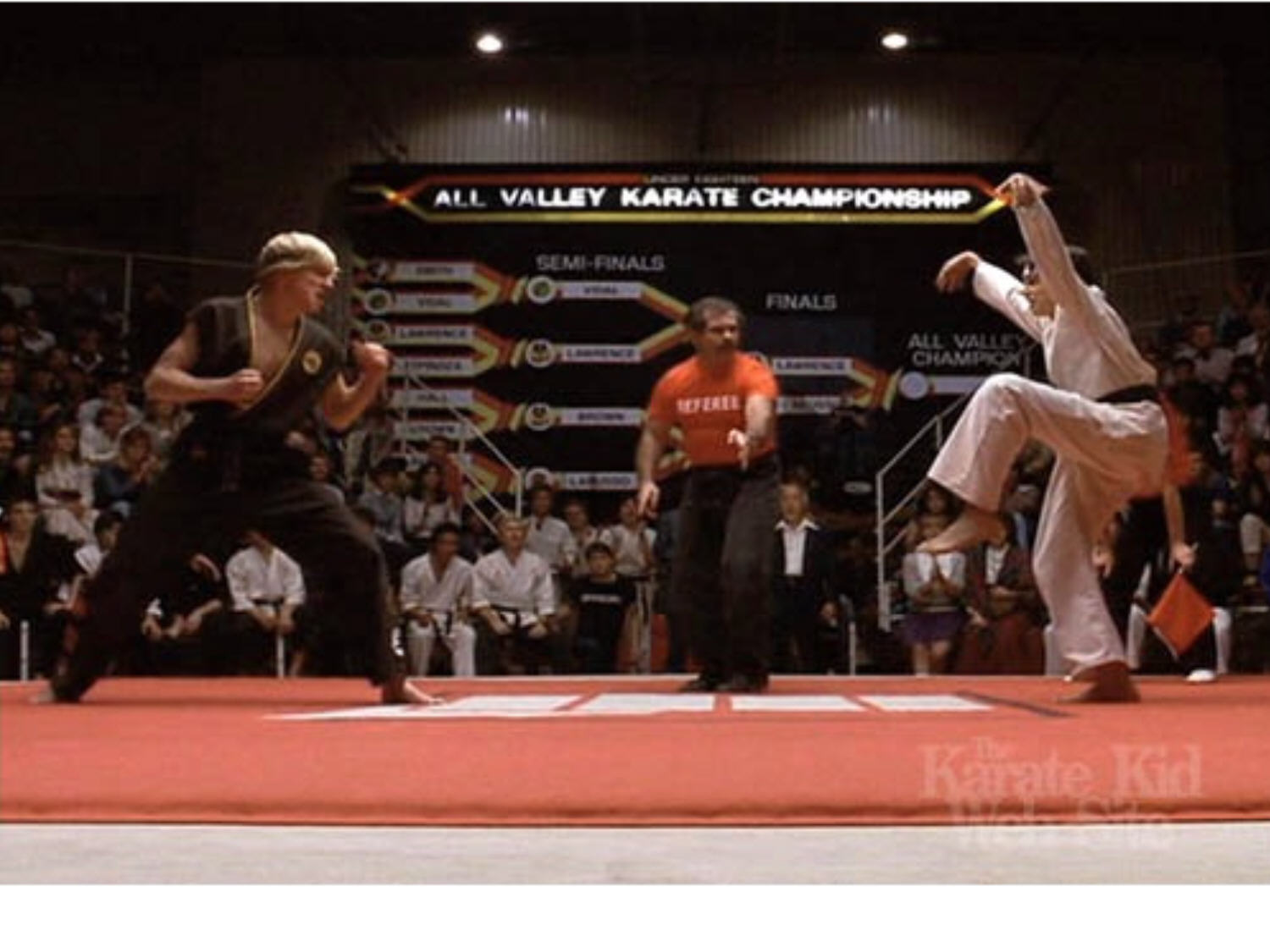 Karate+Kid+Crane.jpg