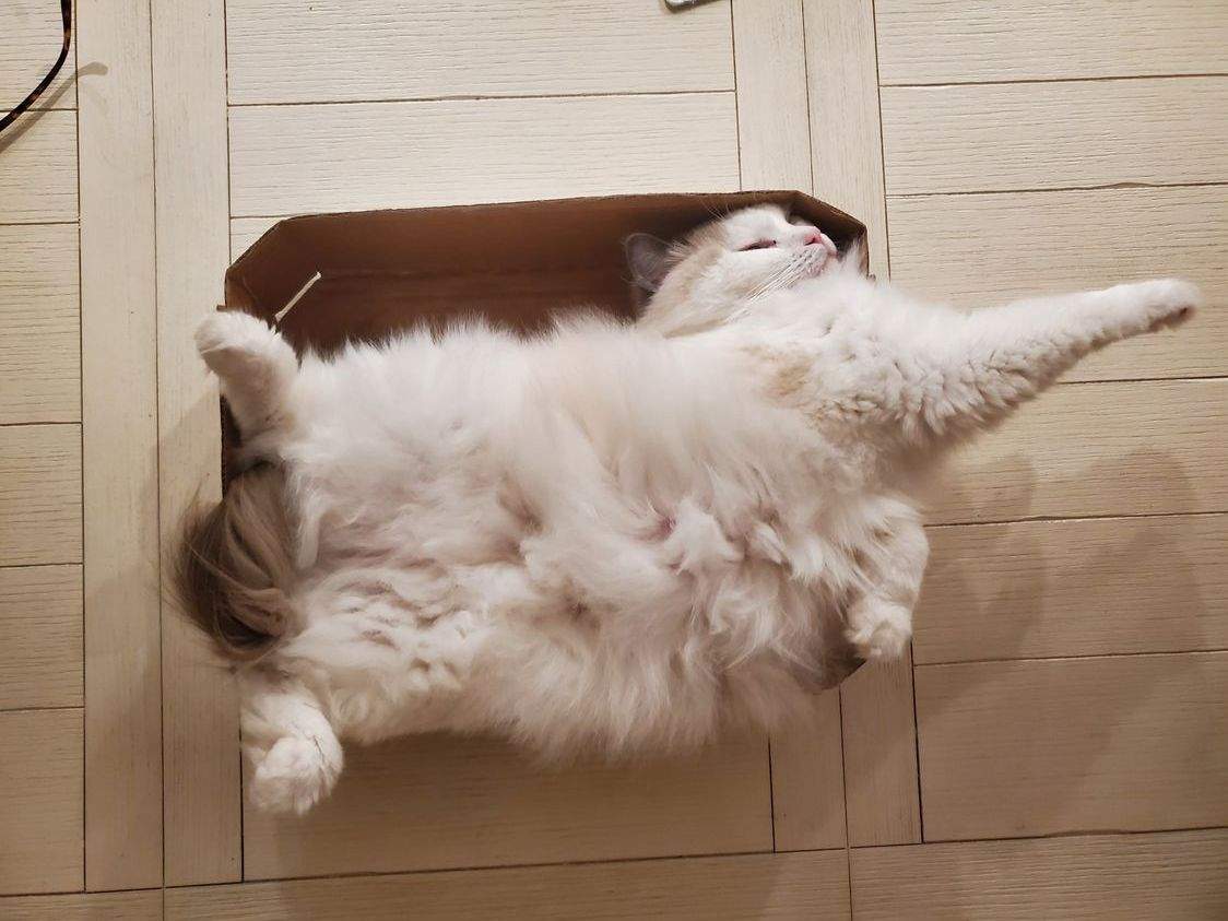 KatnissInRepose.jpg