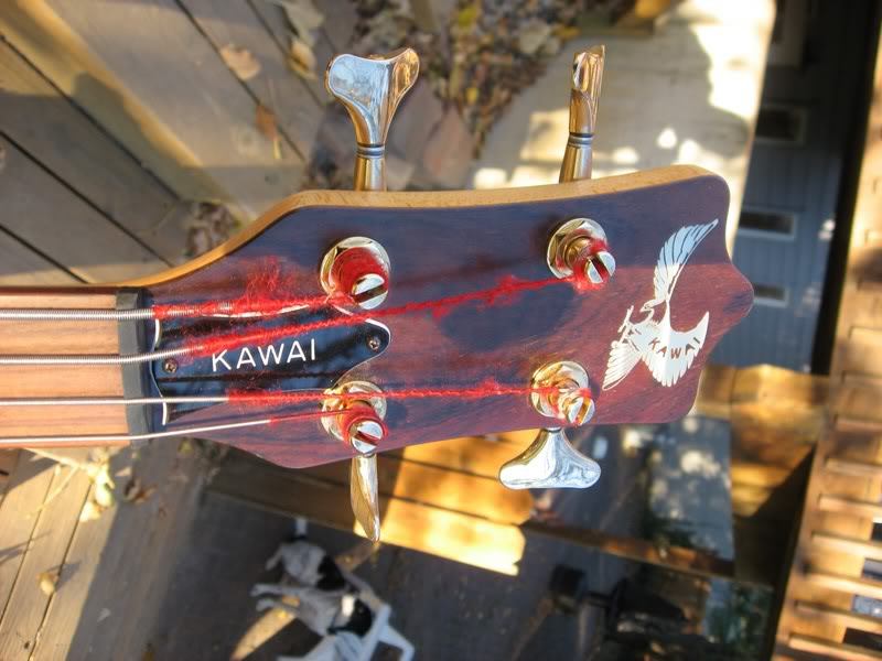 kawaiheadstock.jpg