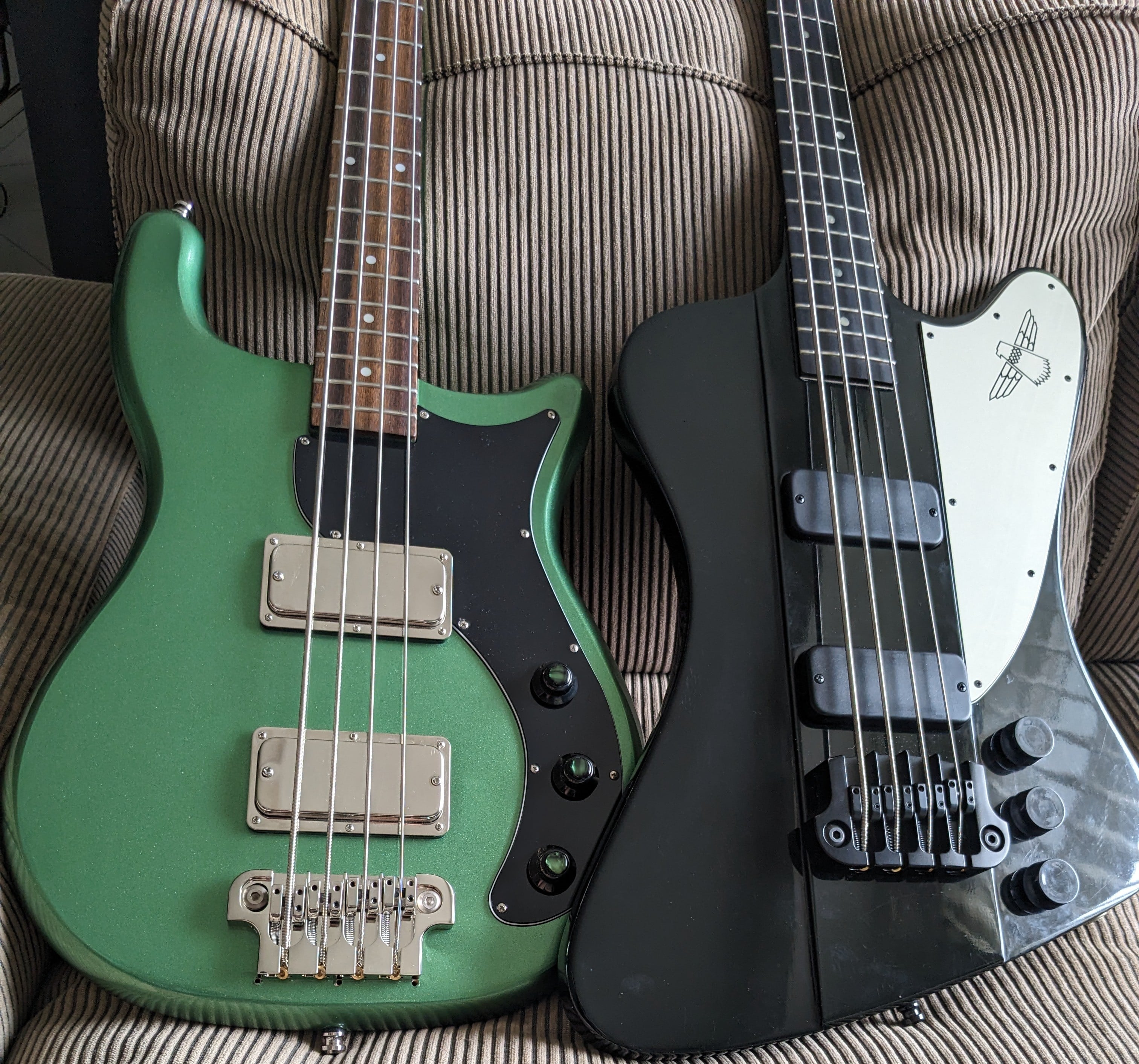 kc_basses_2024.jpg