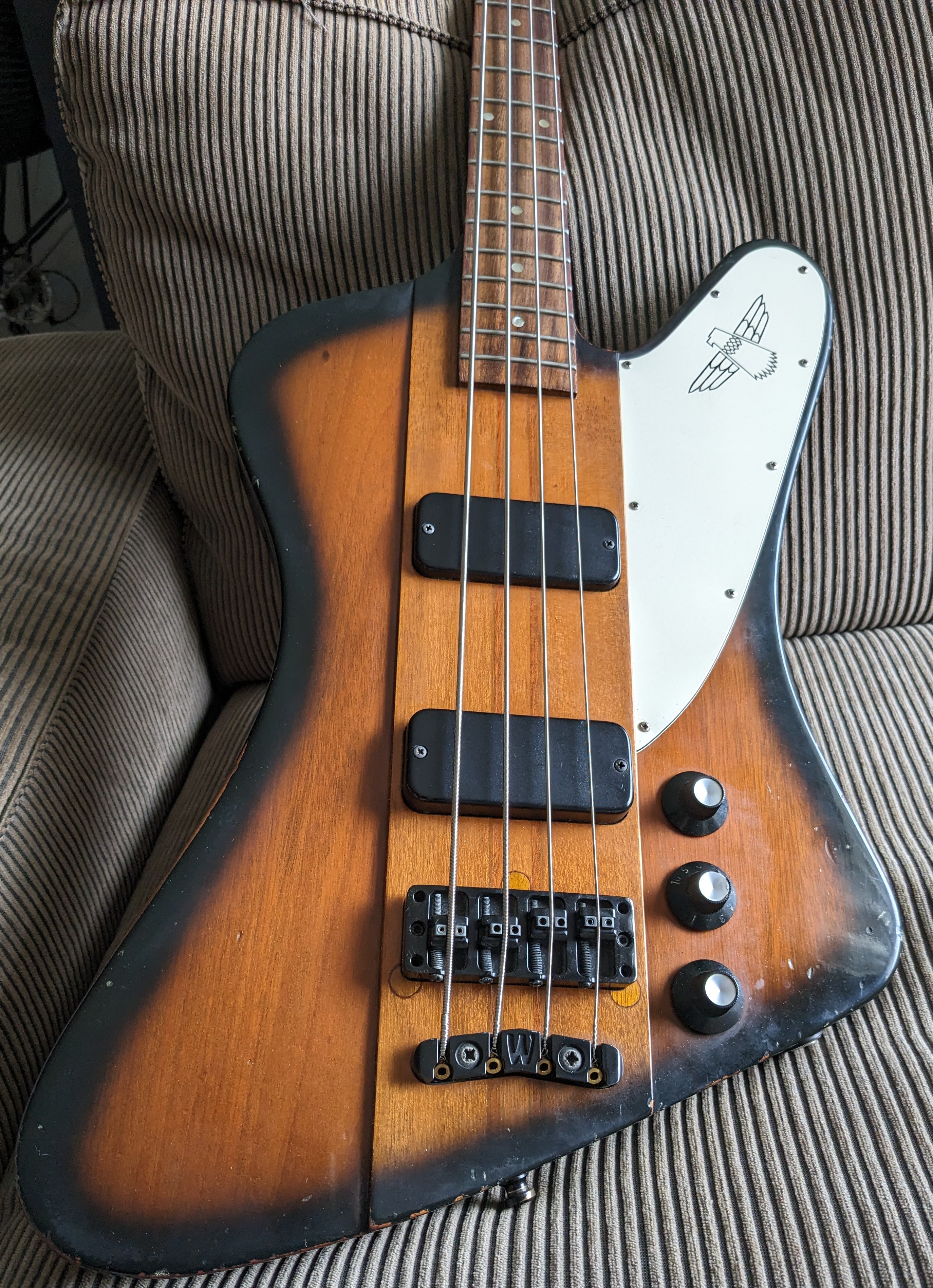 kc_basses_24_1.jpg