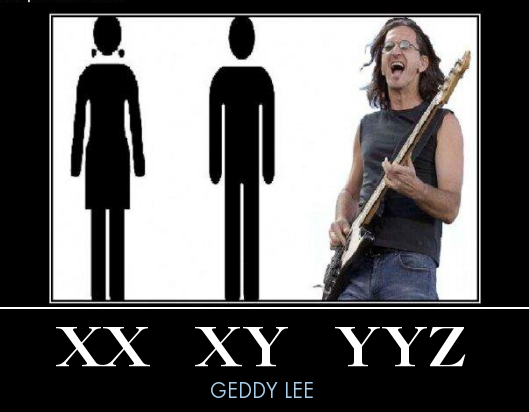KcgGD.png