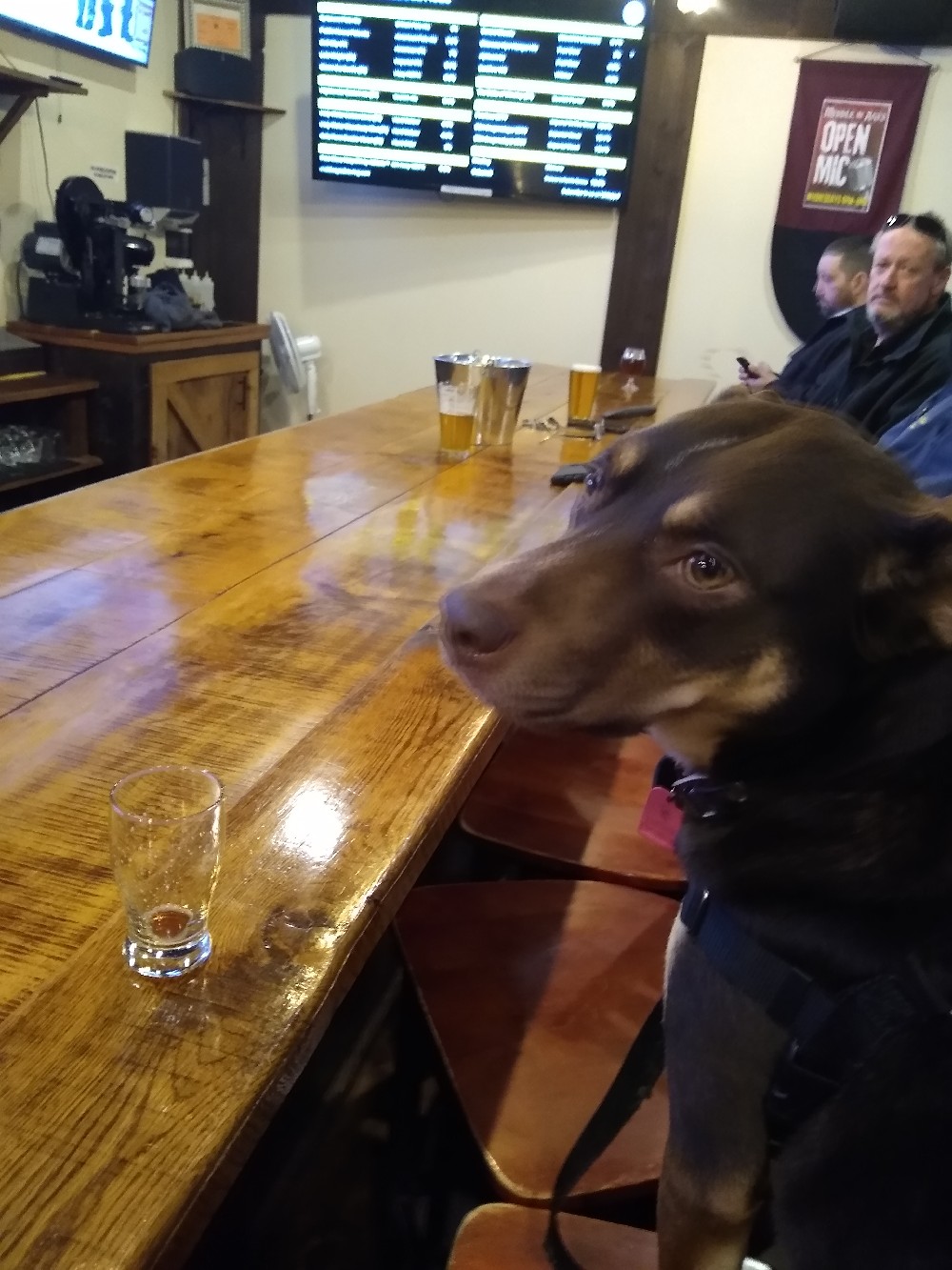 KelpieBar.jpg