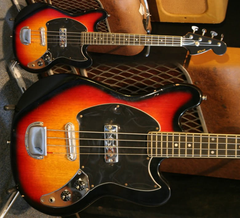 Kentextrashortscalebass.jpg