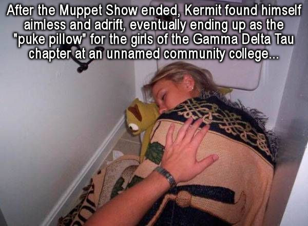 Kermit-puke pillow.jpg