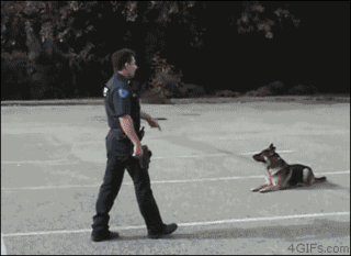 ketabaok6osdeqr0uuex.gif