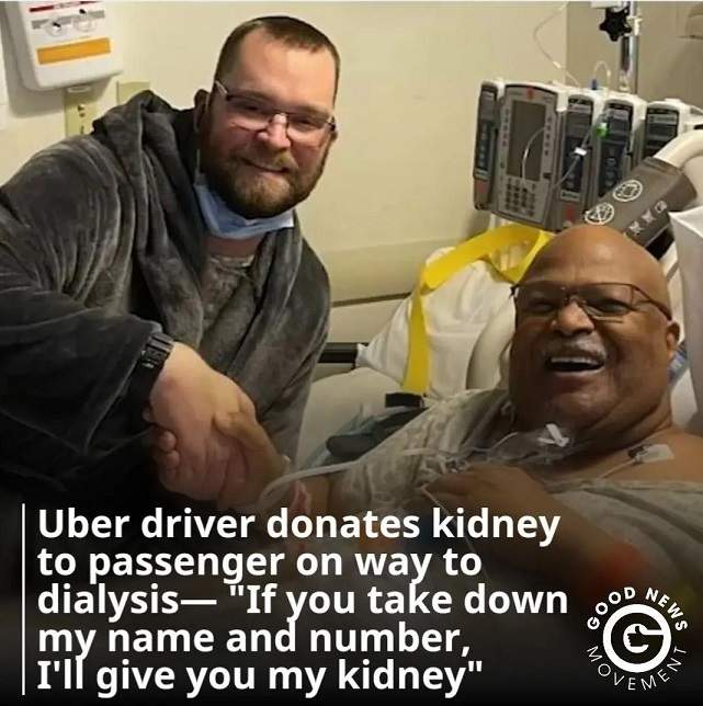 kidney 1.jpg