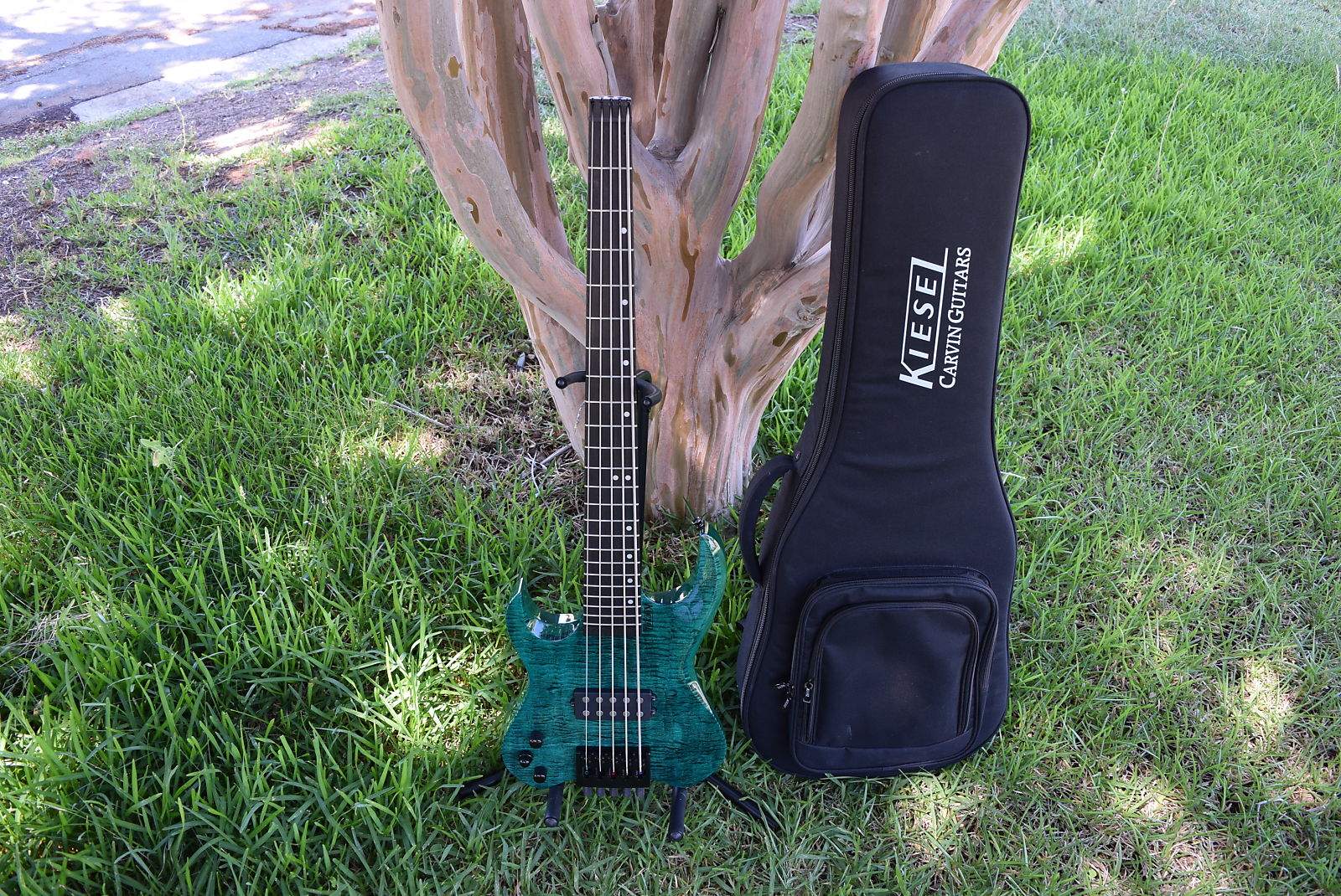 kiesel vader5.jpg