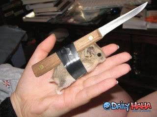 killer_stabbing_mouse.jpg