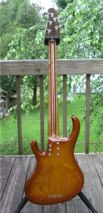 KinalBack-1.jpg