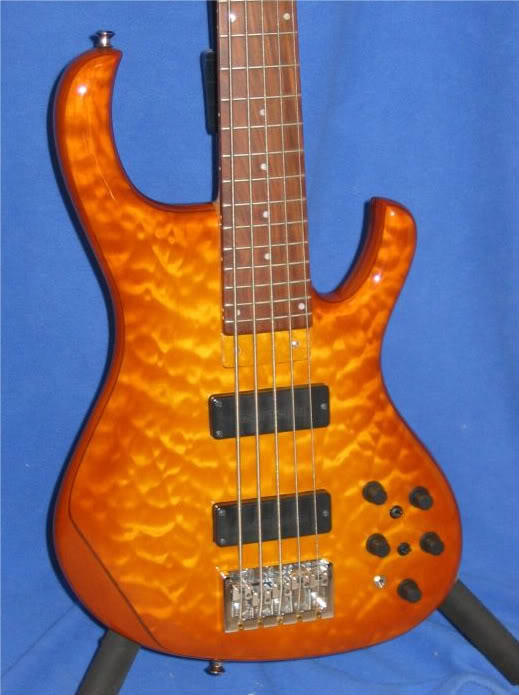 KinalBodyFront-1.jpg