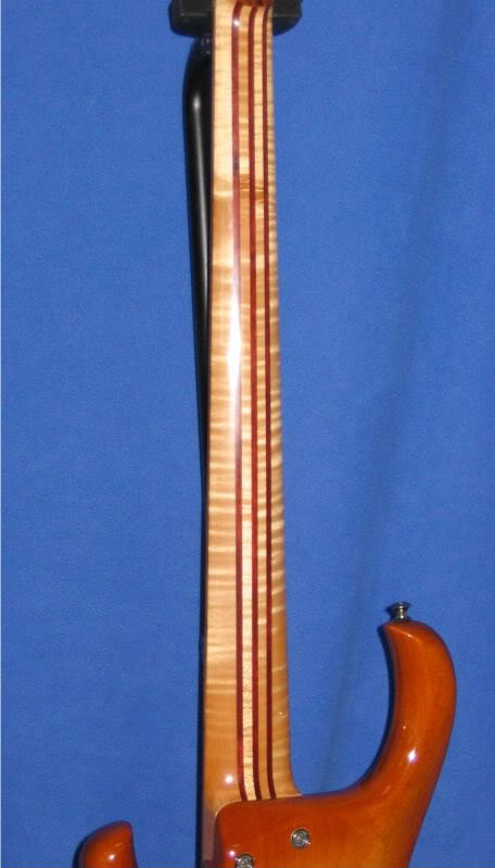 KinalNeckBack-1.jpg