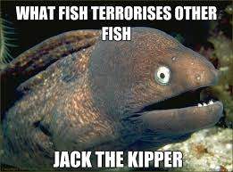 kipper.jpg
