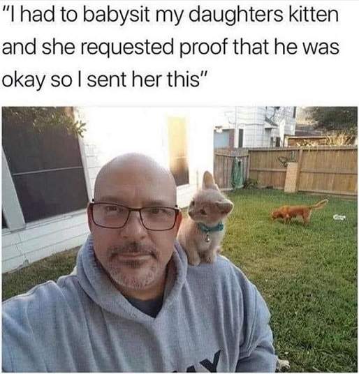 kitten babysit.jpg