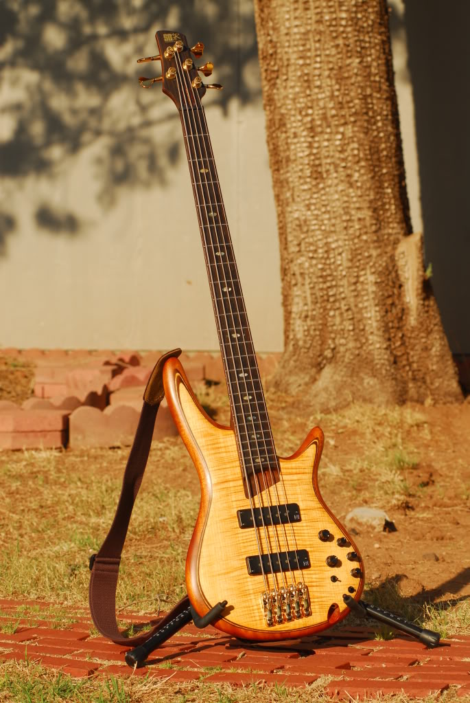 KMS_9877.jpg