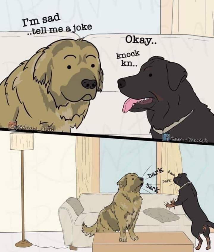 knock bark joke.jpg
