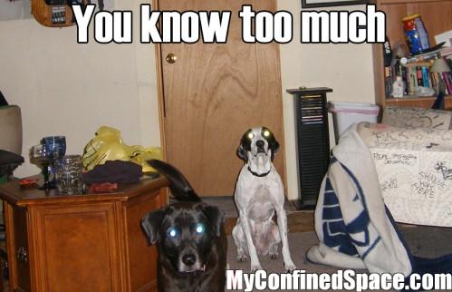 Know%20too%20much-499x322.jpg