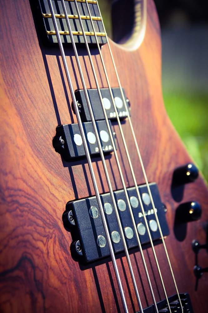 Koca-bass-3.jpg
