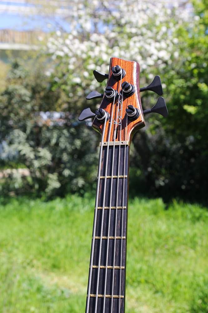 Koca-bass-5.jpg