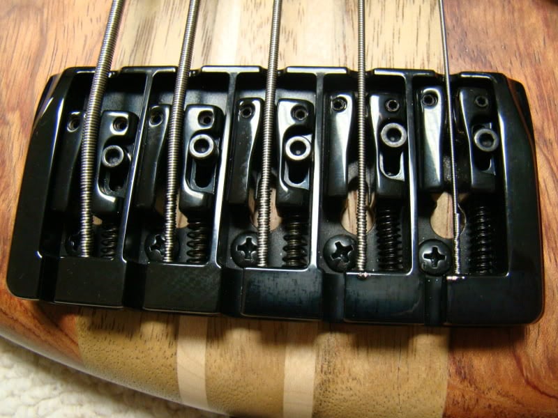 Kona5stringexocticbass019.jpg