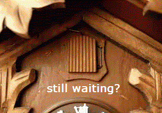 Kuckuck - Copie (2).gif