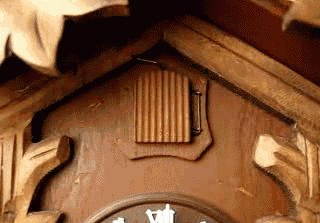 Kuckuck.gif