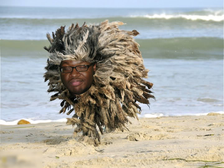 kwesidog.jpg