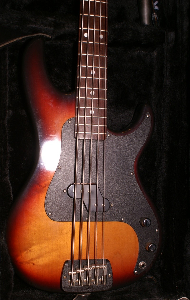 l-500010.jpg