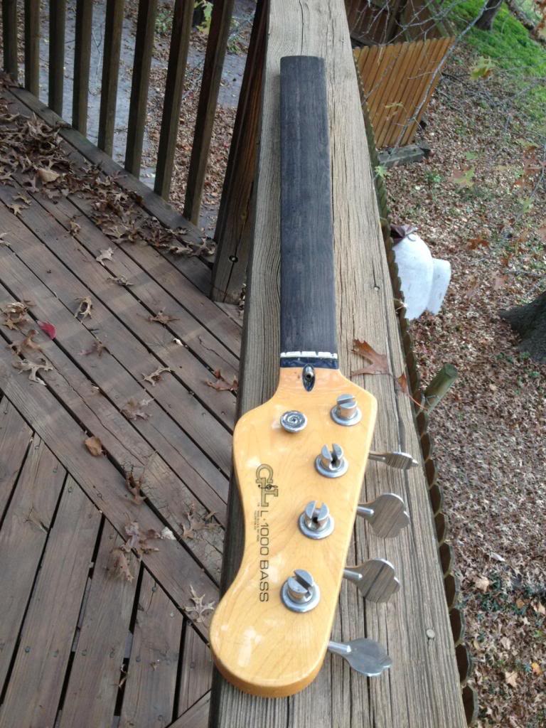 L1000flneckwide.jpg