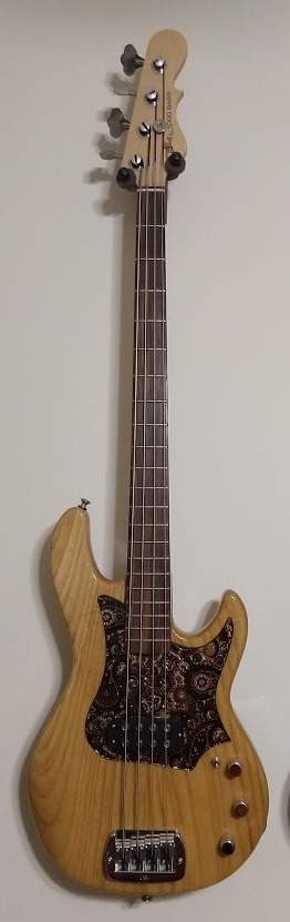 l1k-pickguard.jpg