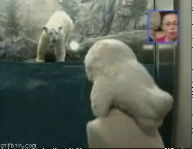 l20ad651c600da6783d36953b92ed8c2d.gif