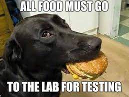 Lab.jpg