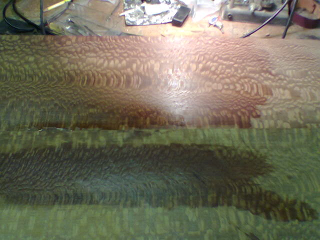 Lacewood1090506.jpg
