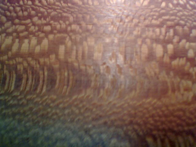 Lacewood3090506.jpg