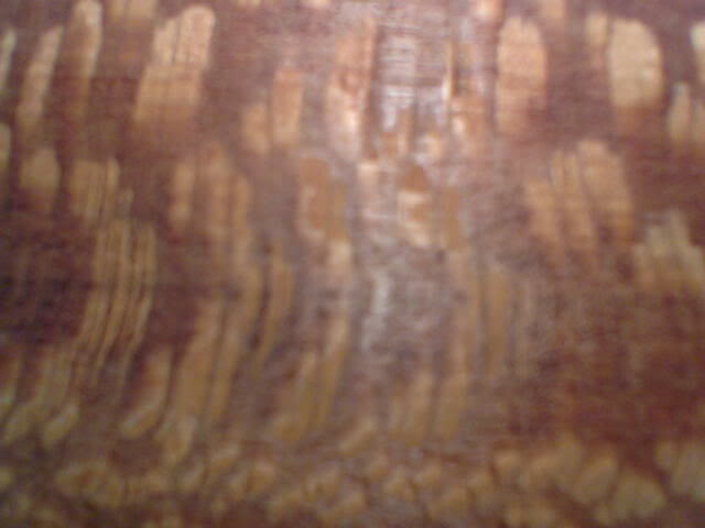Lacewood4090506.jpg
