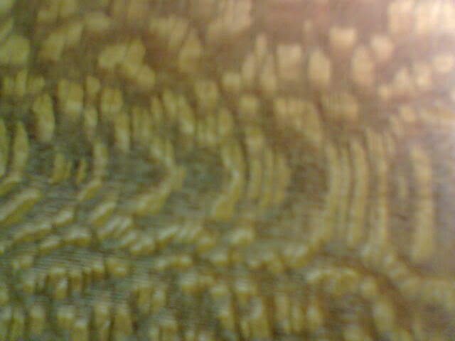 Lacewood5090506.jpg