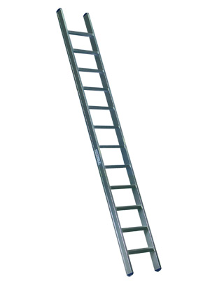ladder.jpg