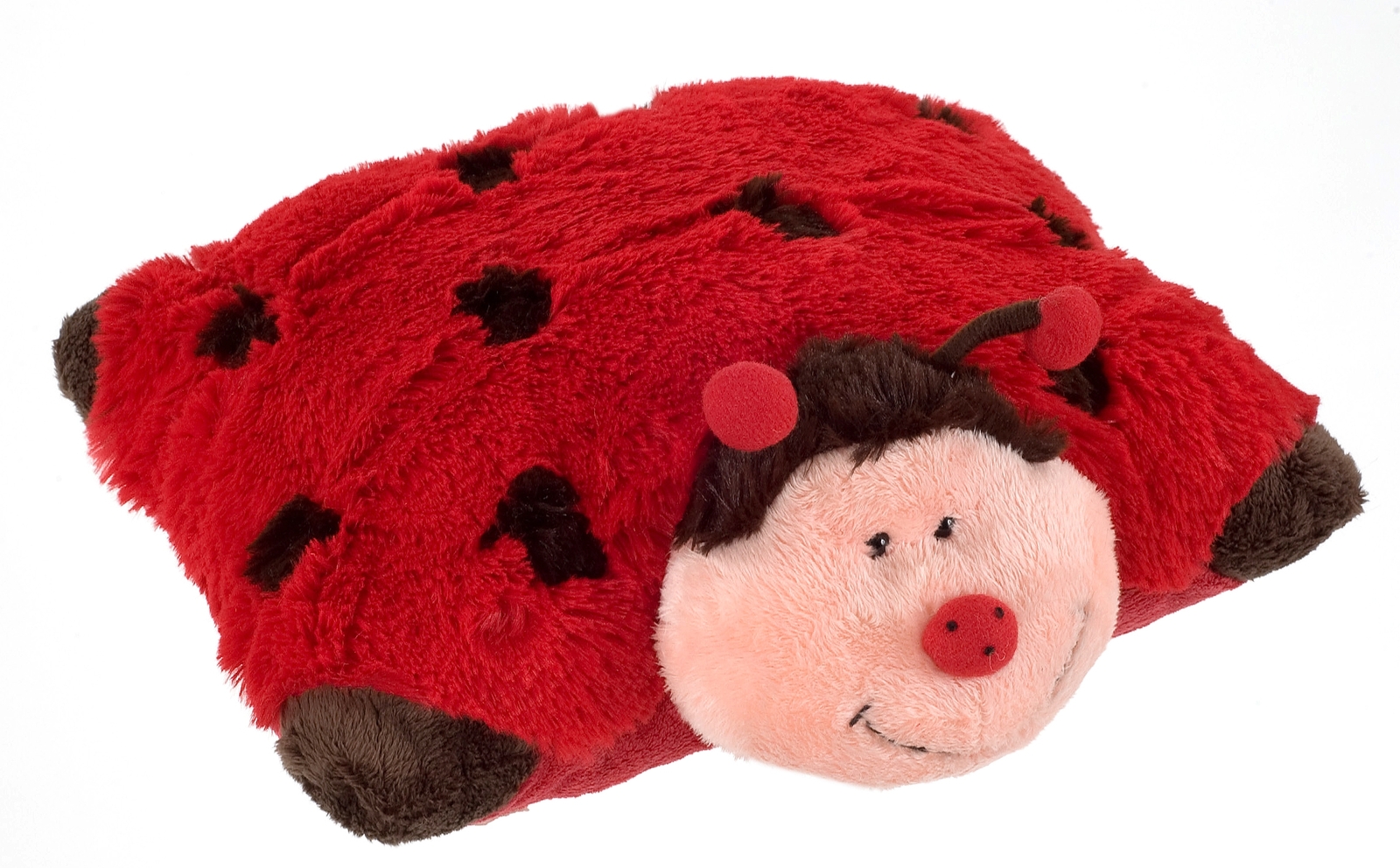 LadyBugFlat.jpg