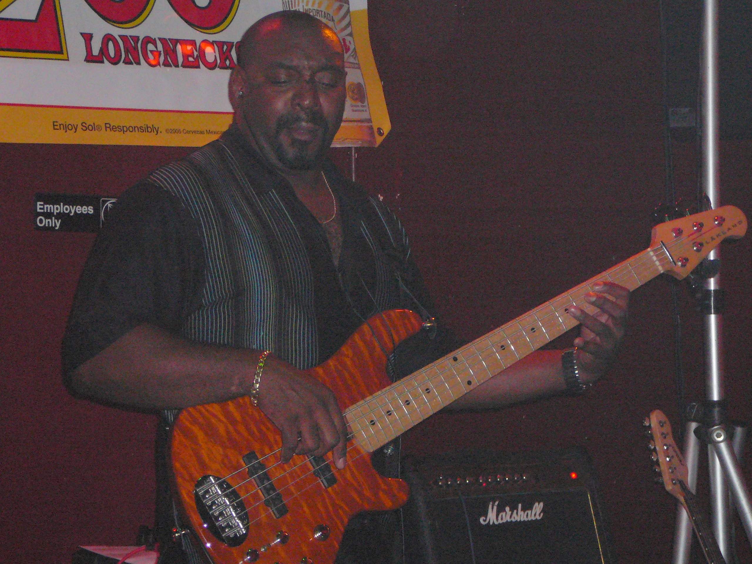 Lakland 5.JPG