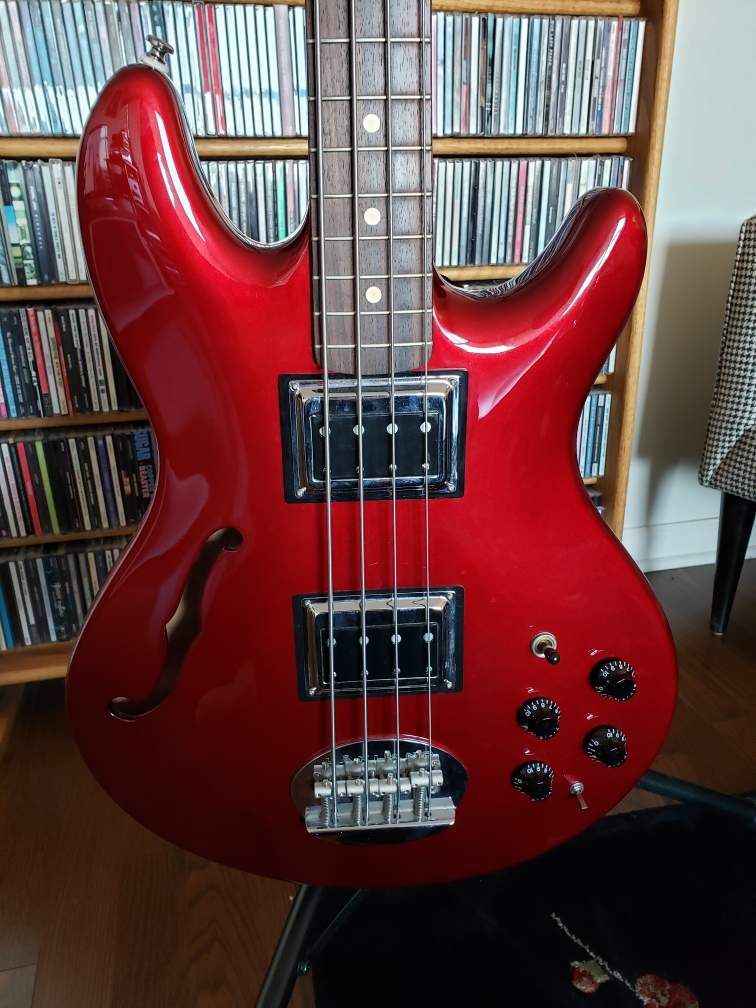 Lakland HB 2.jpeg