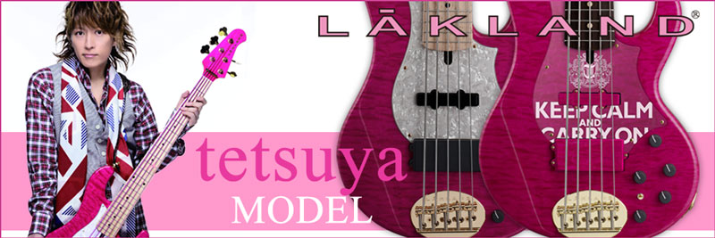 lakland.jpg