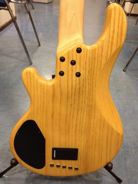 lakland spalt back.jpg