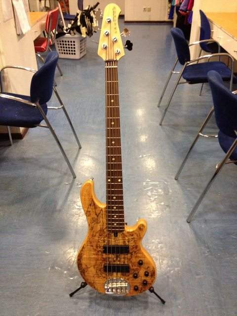 lakland spalt.jpg