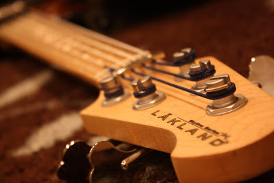 Lakland2.jpg