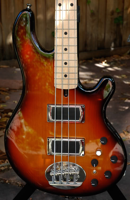 Lakland550pixels1.jpg