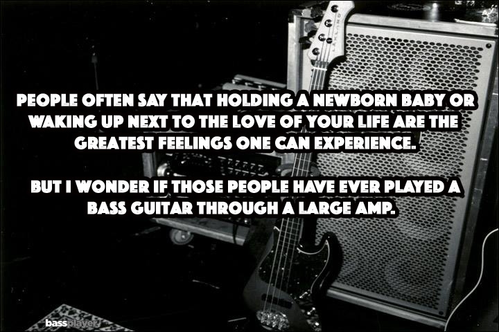 largeamp.jpg